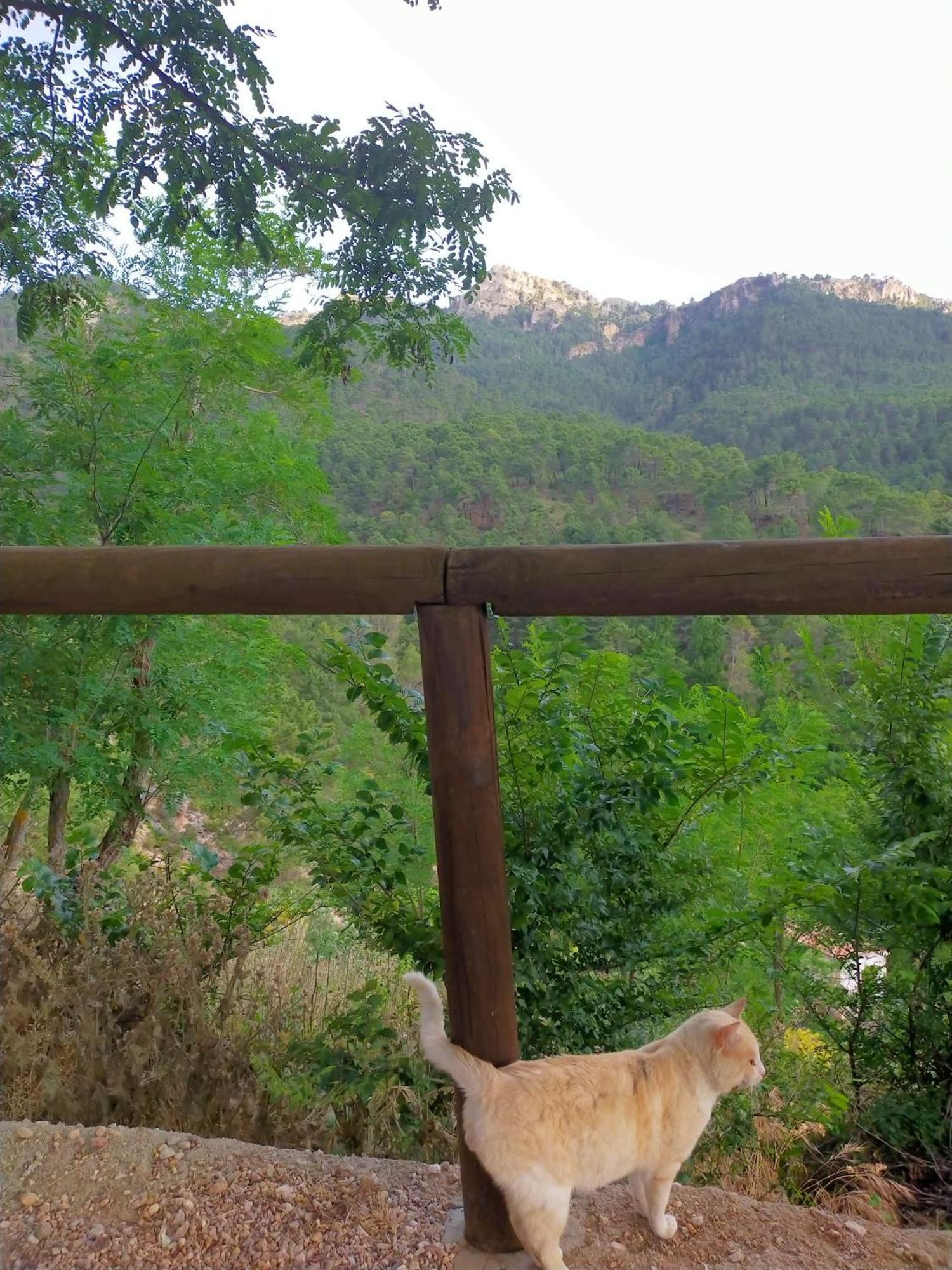 Casa Rural Mi Rincon Exquisito Orcera Екстериор снимка